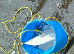 真冬にウキがスポッと沈むのをみたくて～